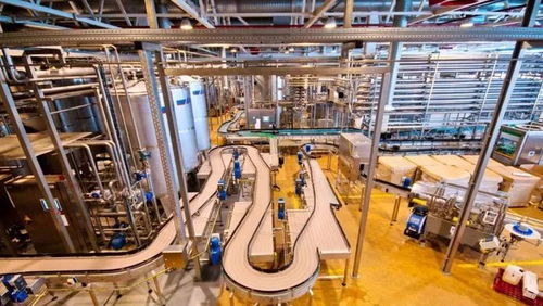 优化工厂现场布局与流程 提升商业管理效能的关键路径